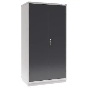шкаф инструментальный fbk 20 pr.2b2.1s
